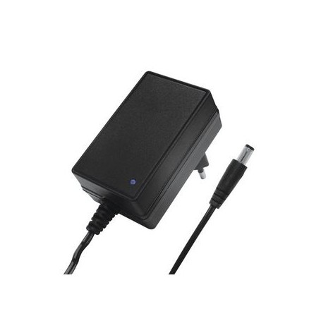 Caricatore 2A per batterie Li-Ion 12V