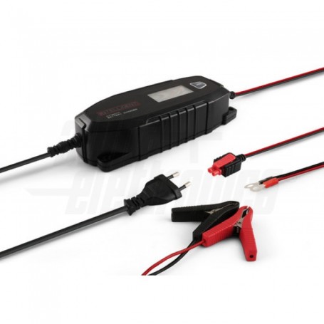 Carica Batterie per caricare batterie al Piombo Gel, AGM e LiFePO4 da 18 a 240Ah.