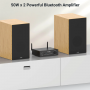 AMPLIFICATORE DIGITALE STEREO 50Wx2
