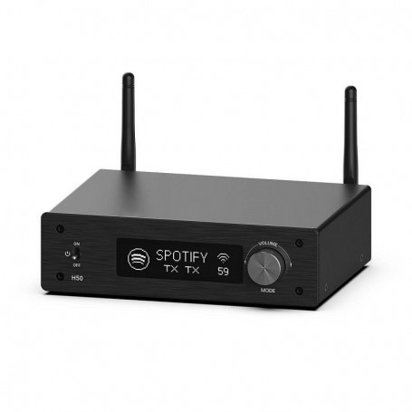 AMPLIFICATORE DIGITALE STEREO ARYLIC H50