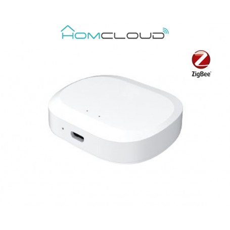 SMART HUB LAN ZIGBEE