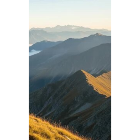 OTTICHE TERRESTRI