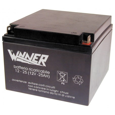 BATTERIA AL PIOMBO 12V 26A