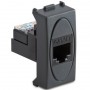 PRESA RJ45 PLUG 8 GRIGIO