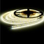 STRIP LED 12V IP65 LUCE NATURALE