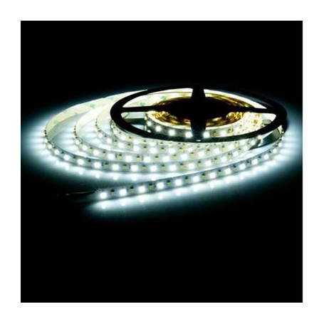 STRIP LED 12V IP65 LUCE FREDDA
