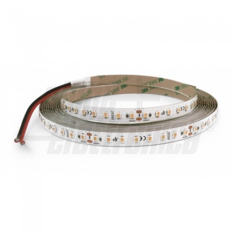 STRISCIA LED 5MT 24V 16.8W/MT BIANCO FREDDO 6000K