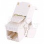 Presa Keystone 8P8C RJ45 non schermata - Cat.6a - UTP - Crimpaggio senza utensile - Bianca