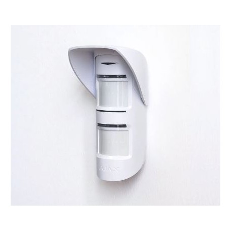 TETTUCCIO PER AJHPO AJAX